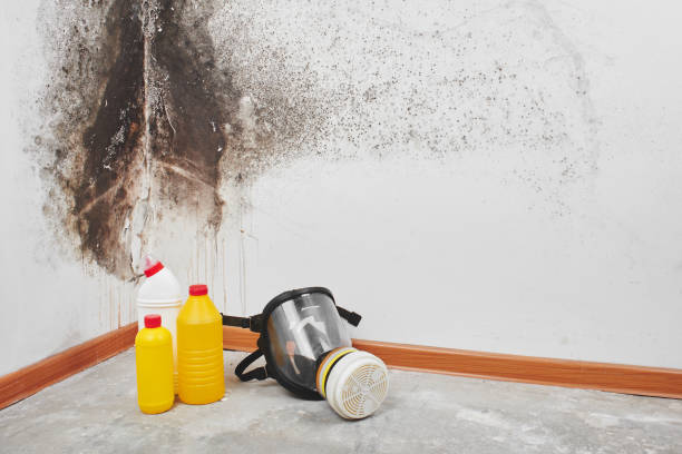 Graham, TX Mold Removal Company