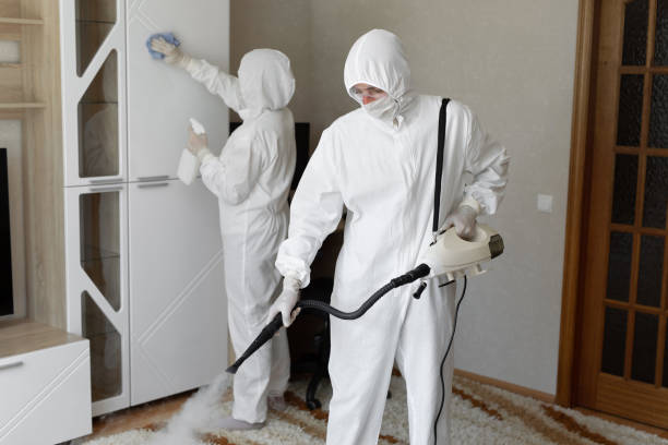 Best Attic Mold Removal  in Graham, TX