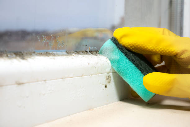 Best Mold Cleaning Services  in Graham, TX