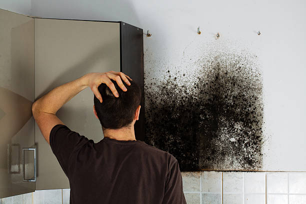 Attic Mold Removal in Graham, TX