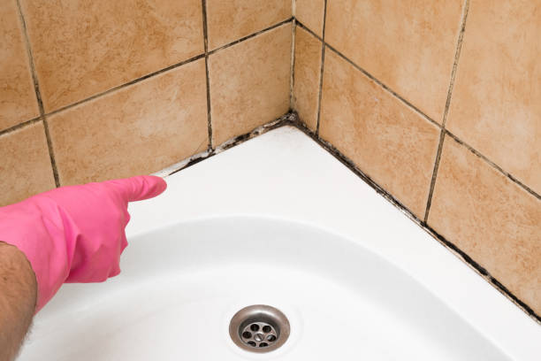 Best Commercial Mold Removal  in Graham, TX